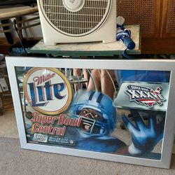 Patriots Super Bowl Mirror 2002