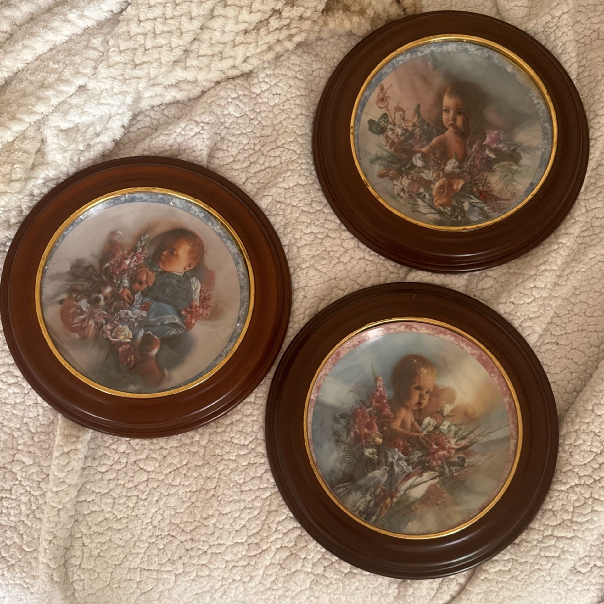 Dish Plate Baby Pictures