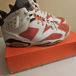 Jordan 6