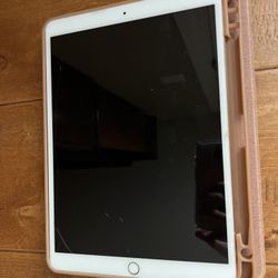 iPad Pro 10.5”