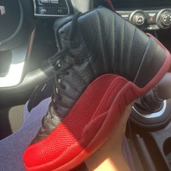 Jordan 12 Flu game 