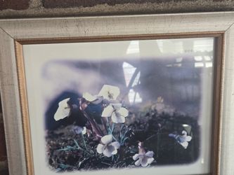 Pictures and frames 7 dollars Each or all 6 for 30