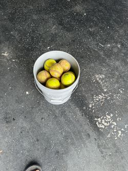 Fastpitch softballs and bucket with seat