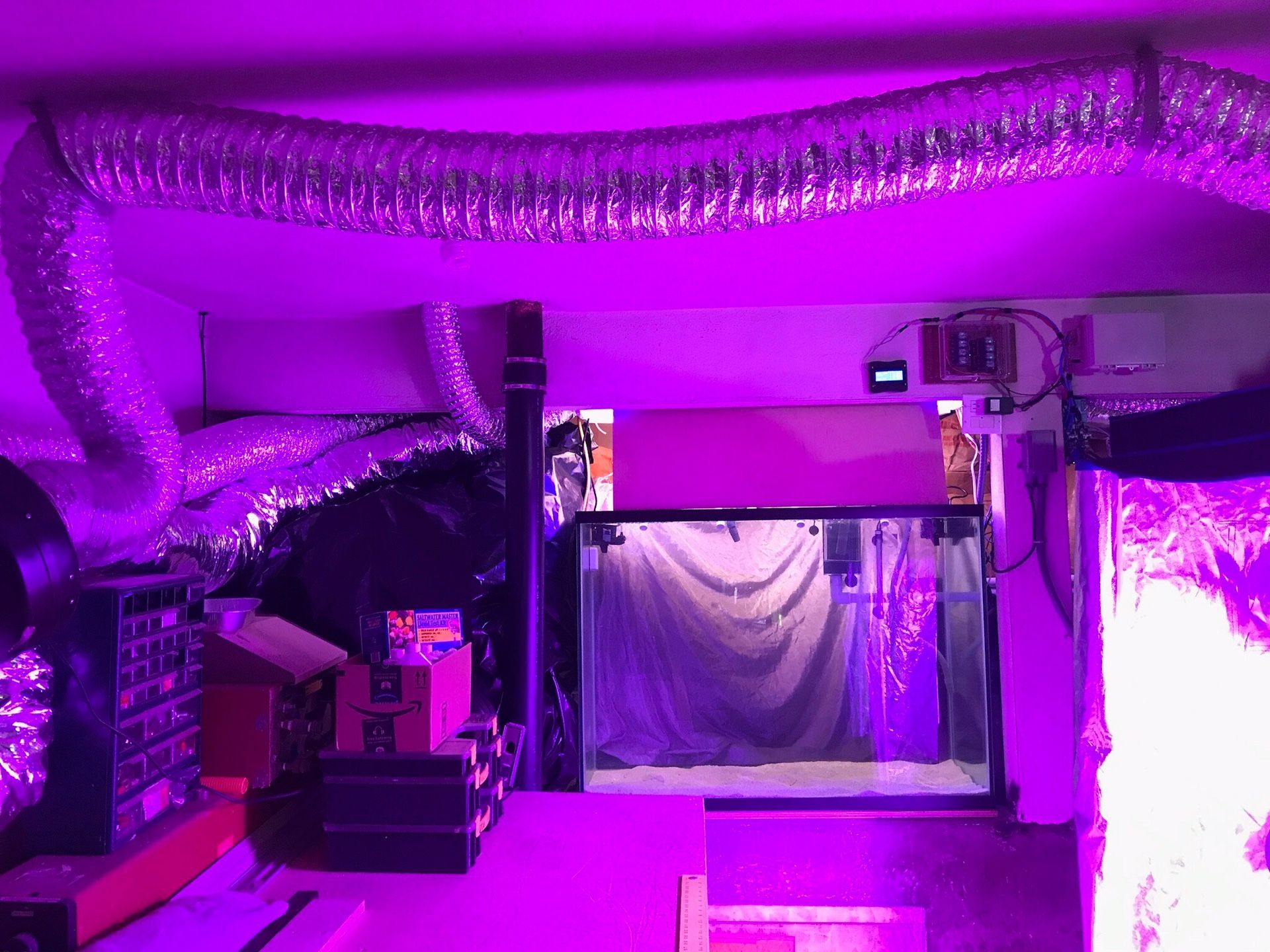 Custom Automated Aquaponic System