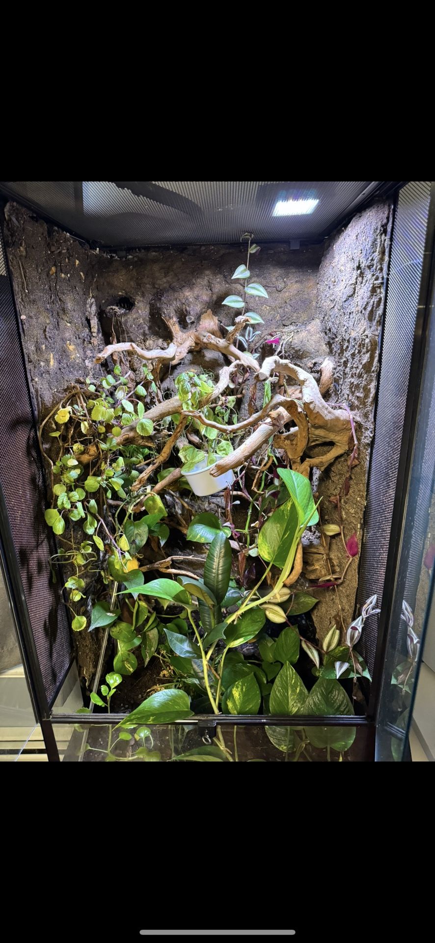 Reptile Enclosure 24x24x48