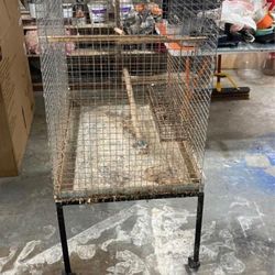 Two Cages For English Badgie