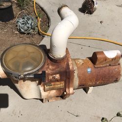 Pool Pump Working With Filter Basket