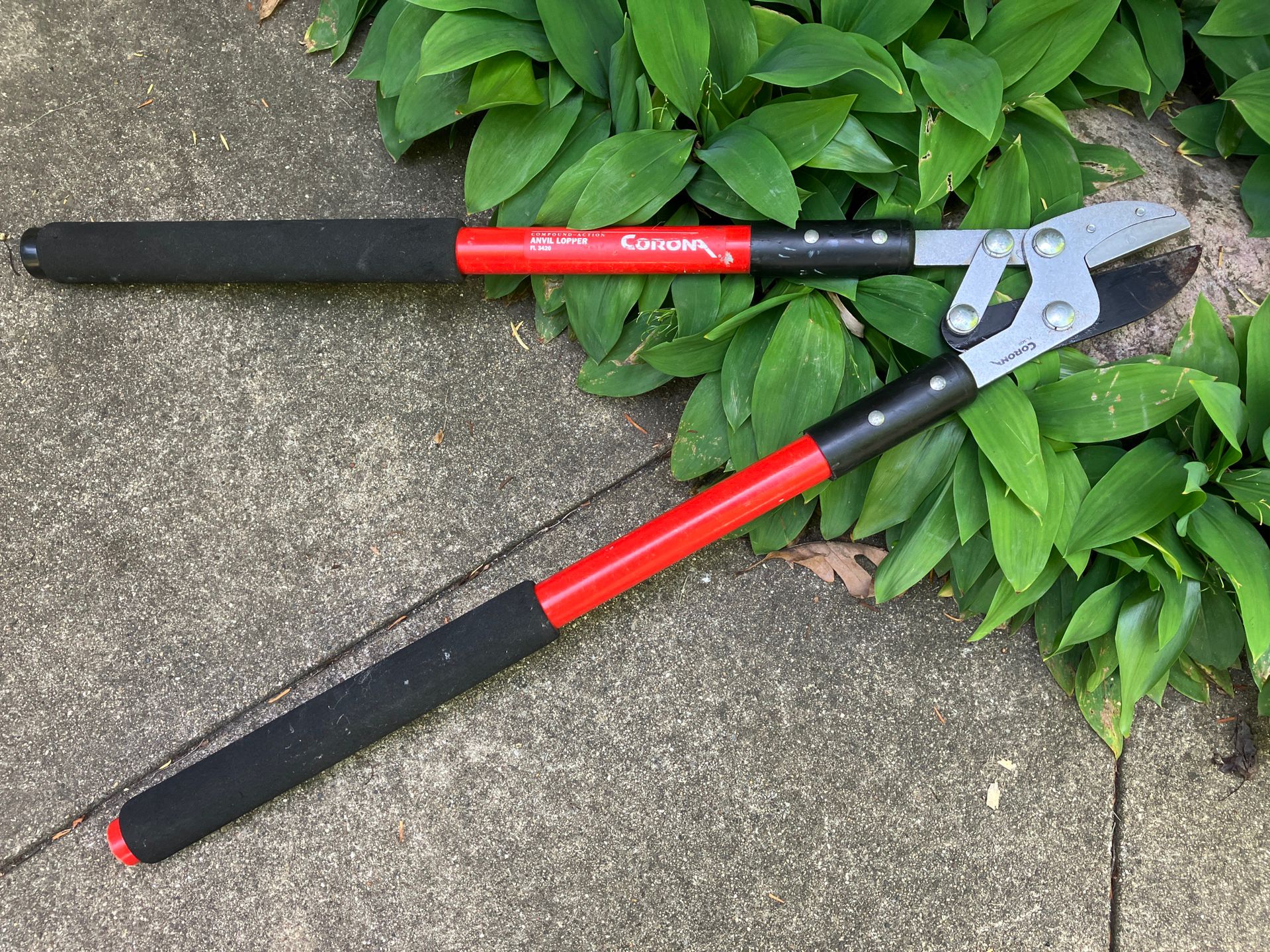 Garden Anvil Loppers