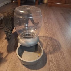 Large Water Bowl For Dogs