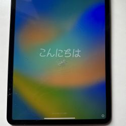 Apple iPad Pro 2nd Generation 11 - inch 128 GB