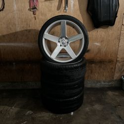 Rims 24ss