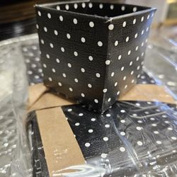 Box Bottoms