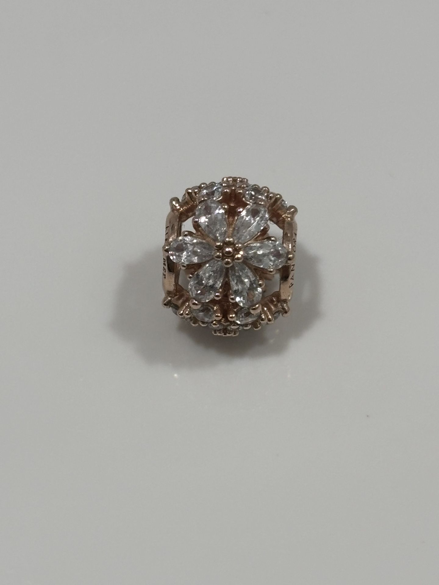 Pandora herbarium cluster Charm