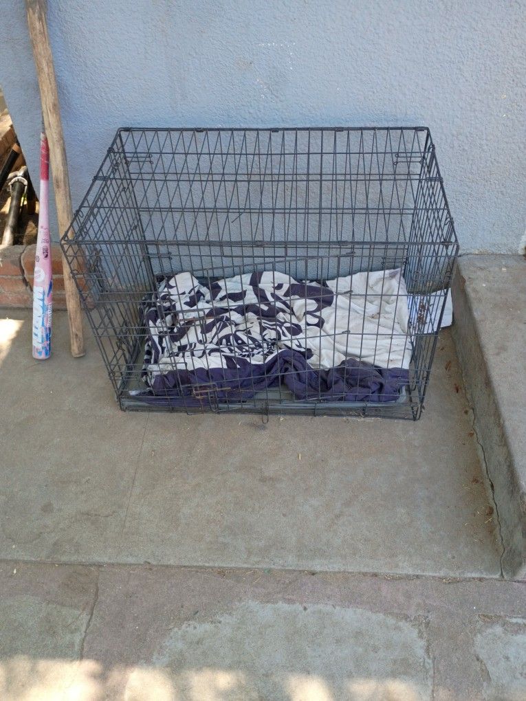 Animal Kennels