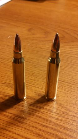 Actual bullet antenna eliminators
