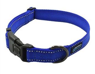 Max and Neo blue Buckle collar small