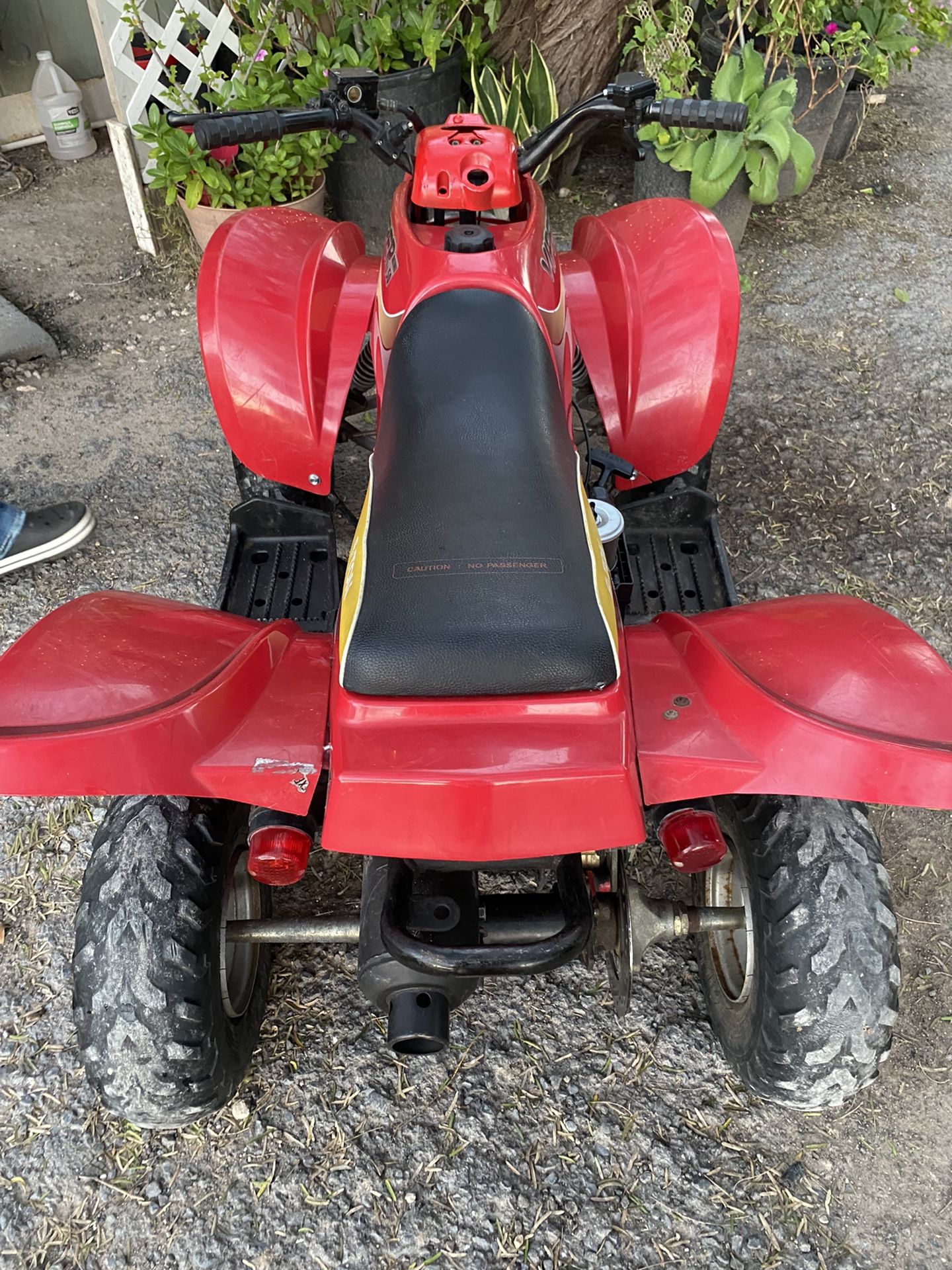 Kids Atv