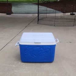 Vintage Rubbermaid Bass Cooler