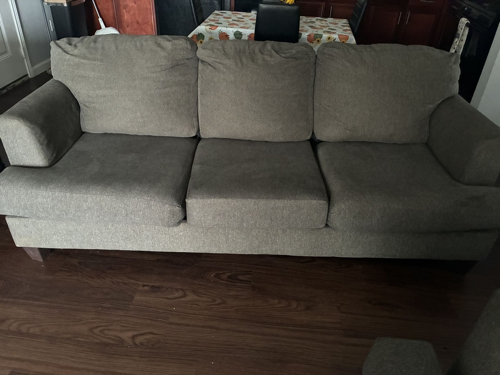 2 Piece Sofa Set
