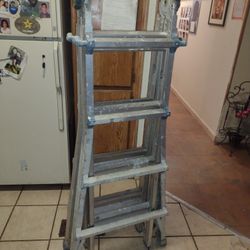 Folding Ladder