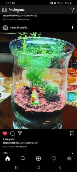 Elf mini garden