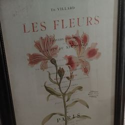 Large Les Fleur's Art Print Framed 33" X 45"