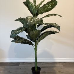 Large 65” Tropical Plant