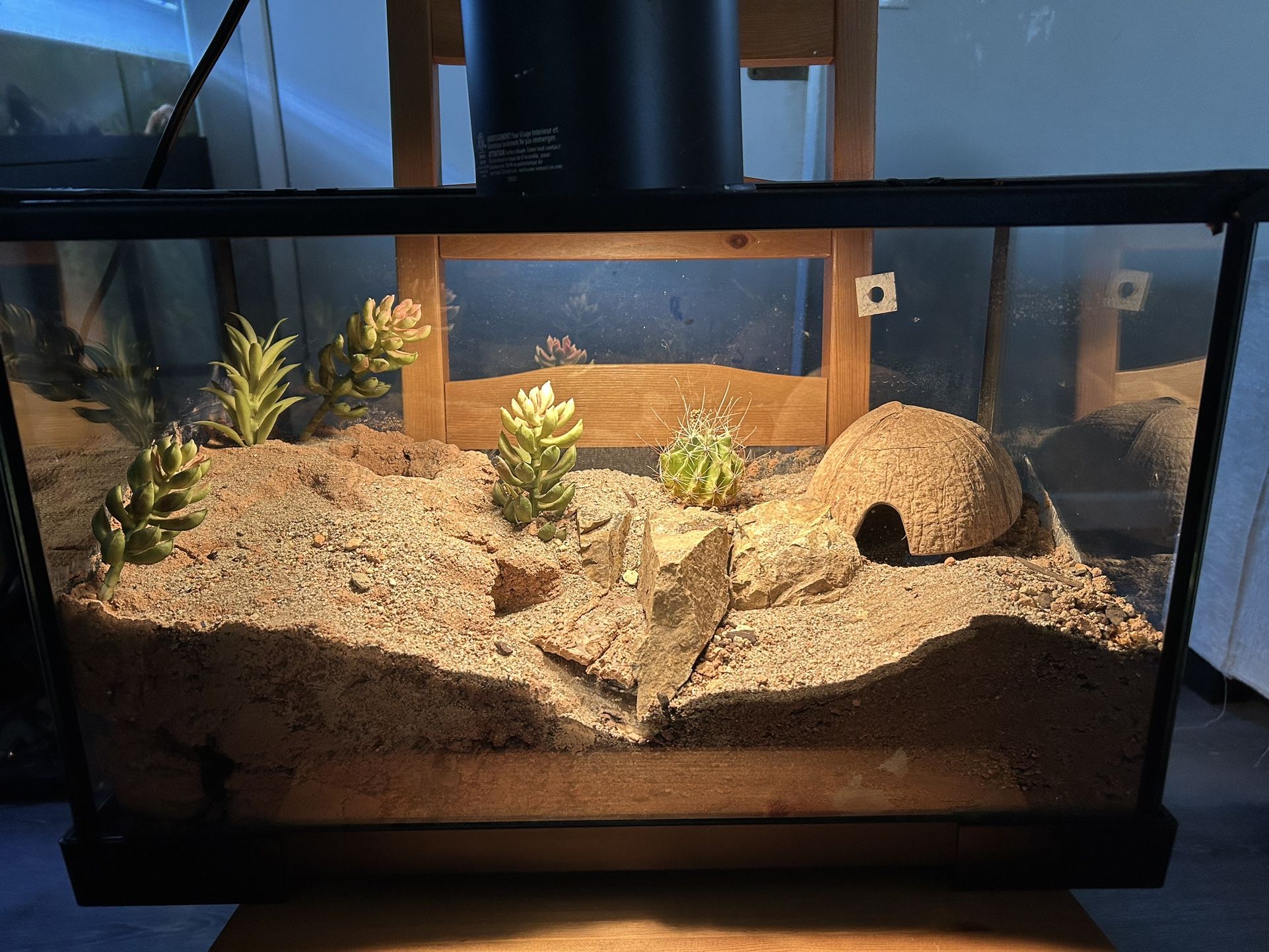 10 Gallon Fish Tank