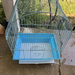 Bird Cage 