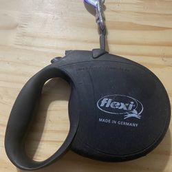 Flexi Leash And Collar 