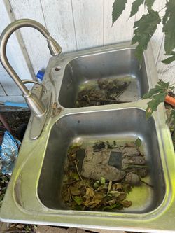 Stainless sink and faucet