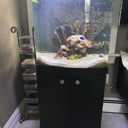 Fish Tank W/Stand