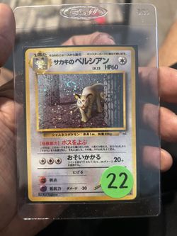 Japanese Persian Holo