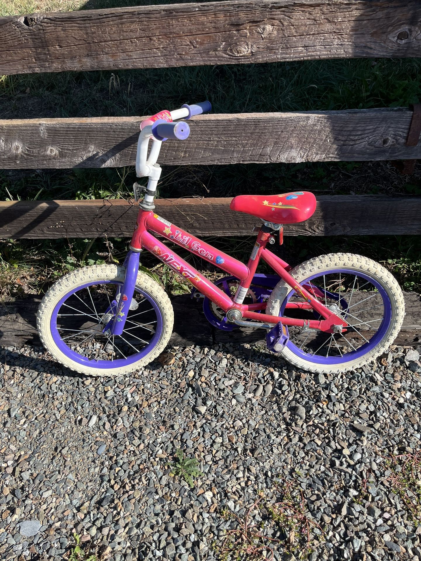 Next little Gem 22 Inch Bike