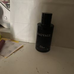 Sauvage 3.4. Toilette. 
