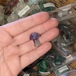 Wholesale - 135 Crystal Mushrooms for $100 OBO