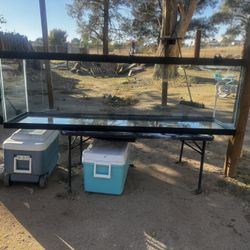 125 Gallon Fish Tank Plus Fx2 Canister Filter 