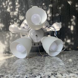 Ceiling Fan 