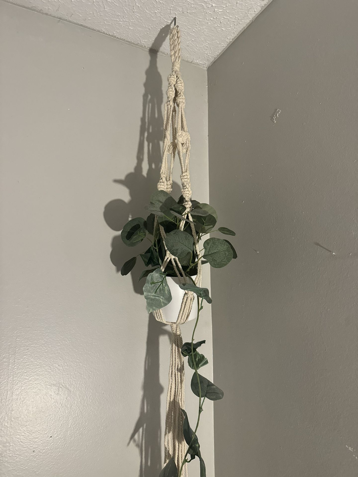 Small Fake Plant And Macrame Plant Holder