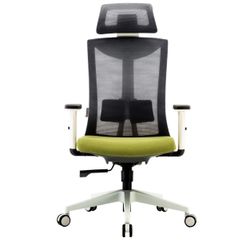 SIHOO Ergonomic Office Chair with Adjustable Lumbar Support and Armrests,Breathable Mesh Back and Padded Seat Desk Chair, Computer Chair for