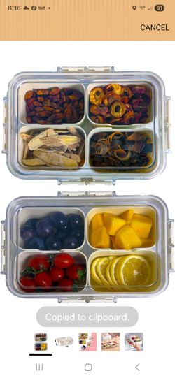 (400)
2PCS Plastic Divided Serving Tray with Lid Snackle Box Charcuterie Container Portable Snack Platters Organizer for Candy, Fruits, Snacks, Nuts, 