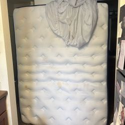Queen Mattress 