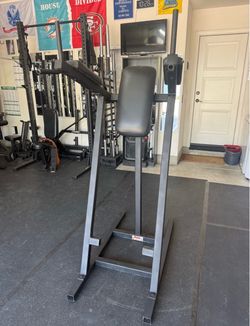 York Vertical Knee Raise / Dip Station