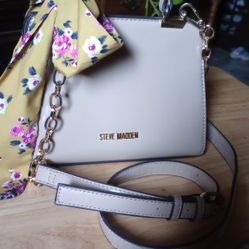 small Steve Madden Bag 