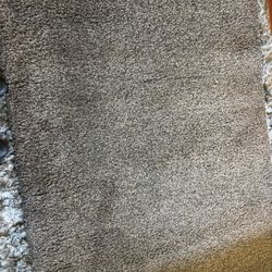 Small Brown Shag Rug