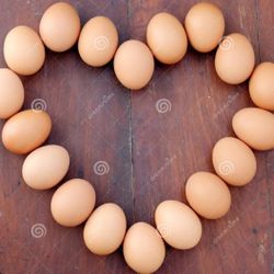 Farm Fresh Organic Eggs