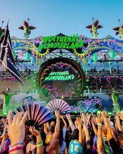 Nocturnal wonderland 2day ga