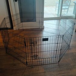 Dog, Dogs,Pet,Pets,Animal,Animals,Cage,Cages
