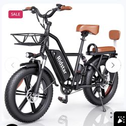 Ridstar® FM001 2-Seater Fat Tire Electric Bike