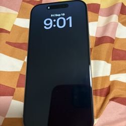 iPhone 16 Pro 